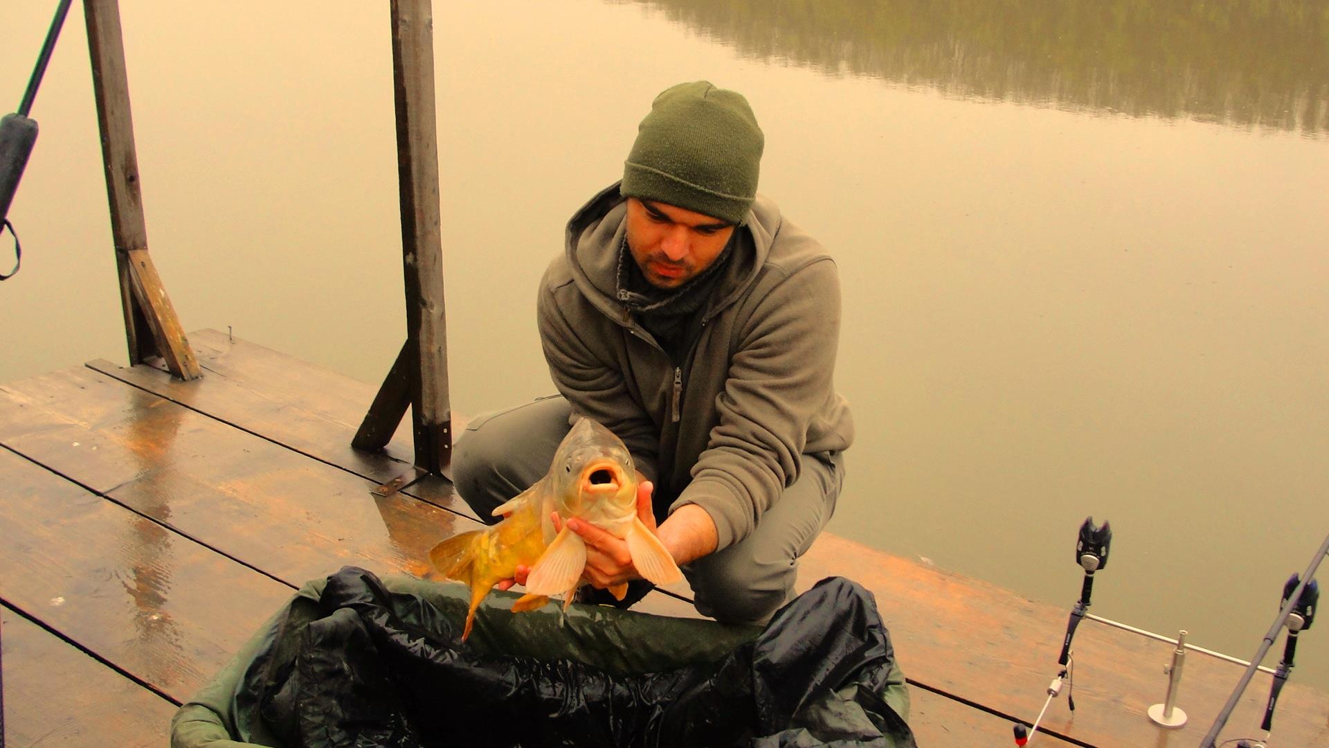 Magura 9 23 - 23 nov. - 12.JPG